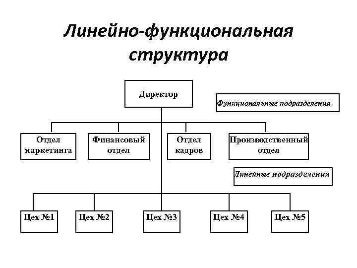 Линейно-функциональная структура Директор Отдел маркетинга Финансовый отдел Отдел кадров Функциональные подразделения Производственный отдел Линейные
