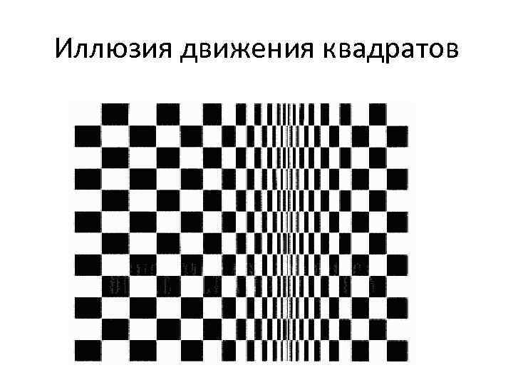 Квадрат движения. Иллюзии восприятия. Иллюзия движения квадратов. Иллюзия квадрат в квадрате в движение. Движение в квадратах картина.