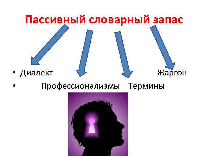 Пассивный словарный запас • Диалект Жаргон • Профессионализмы Термины 