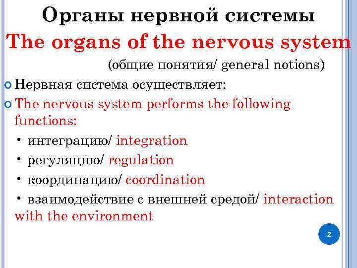 Органы нервной системы The organs of the nervous system (общие понятия/ general notions) Нервная