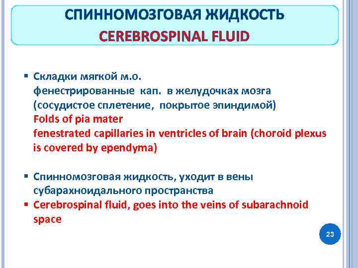 СПИННОМОЗГОВАЯ ЖИДКОСТЬ CEREBROSPINAL FLUID § Складки мягкой м. о. фенестрированные кап. в желудочках мозга