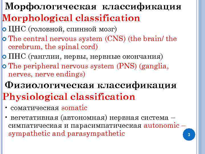 Морфологическая классификация Morphological classification ЦНС (головной, спинной мозг) The central nervous system (CNS) (the