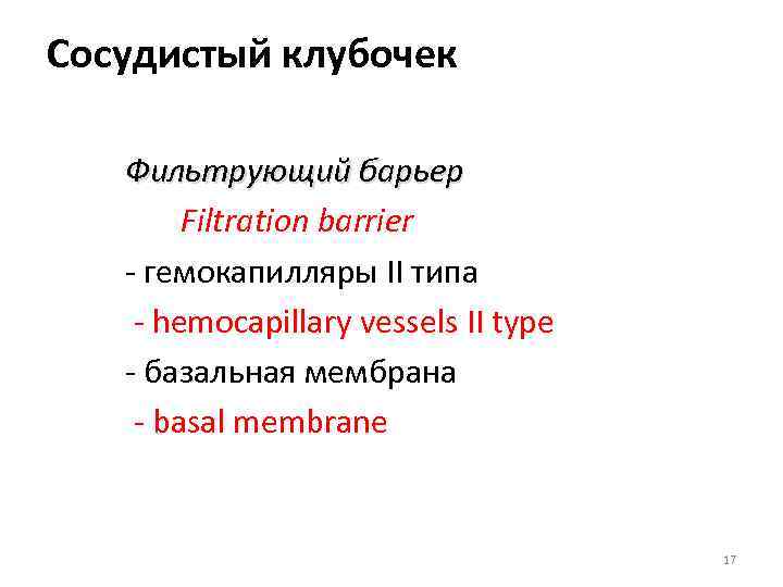 Сосудистый клубочек Фильтрующий барьер Filtration barrier - гемокапилляры II типа - hemocapillary vessels II