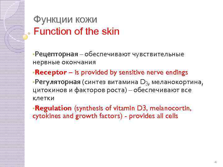 Функции кожи Function of the skin • Рецепторная – обеспечивают чувствительные нервные окончания •