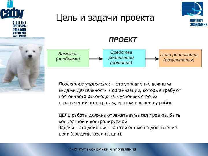 Цель и задачи проекта Проектное управление – это управление важными видами деятельности в организации,