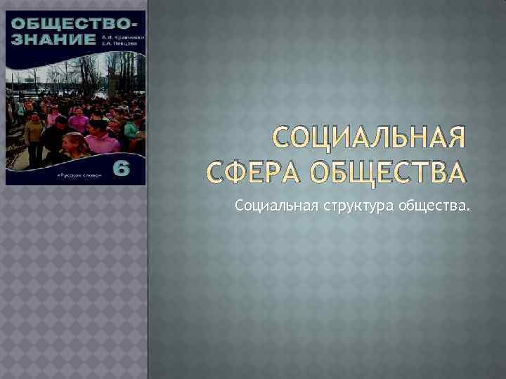 СОЦИАЛЬНАЯ СФЕРА ОБЩЕСТВА Социальная структура общества. 