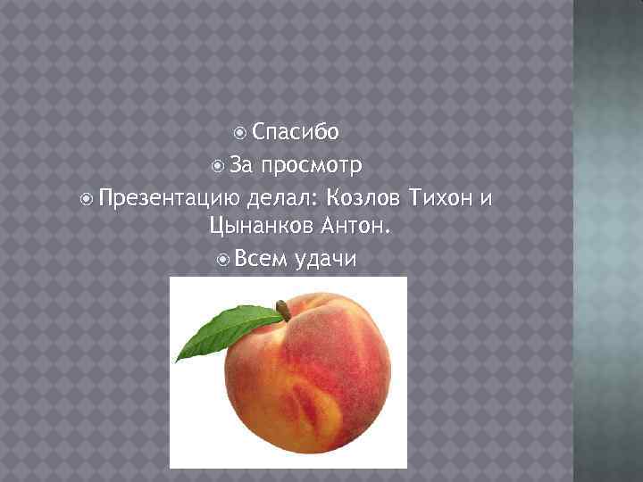  Спасибо За просмотр Презентацию делал: Козлов Тихон и Цынанков Антон. Всем удачи И