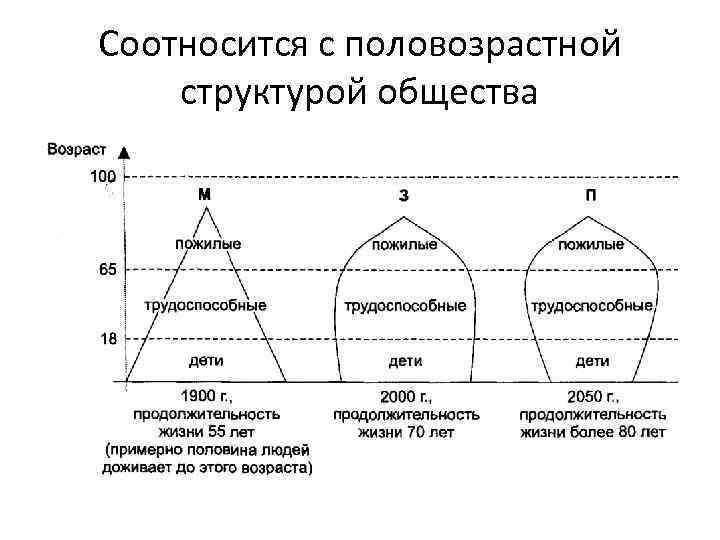 Соотносится с половозрастной структурой общества 