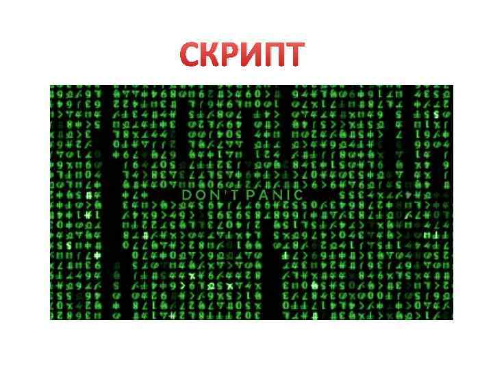 СКРИПТ 