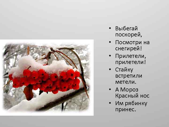  • Выбегай поскорей, • Посмотри на снегирей! • Прилетели, прилетели! • Стайку встретили