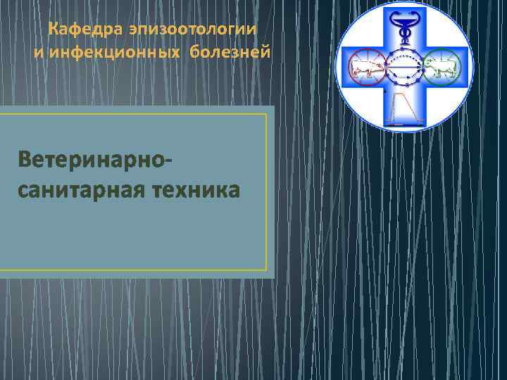 Кафедра эпизоотологии и инфекционных болезней Ветеринарно санитарная техника 