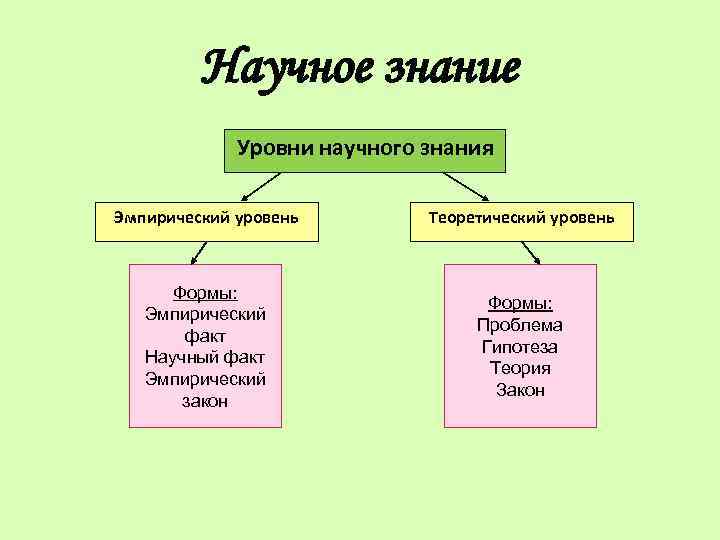 Форма научного познания теория закон и гипотеза схема