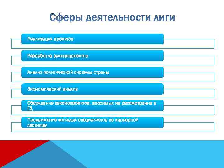 Реализация проектов Разработка законопроектов Анализ политической системы страны Экономический анализ Обсуждение законопроектов, вносимых на