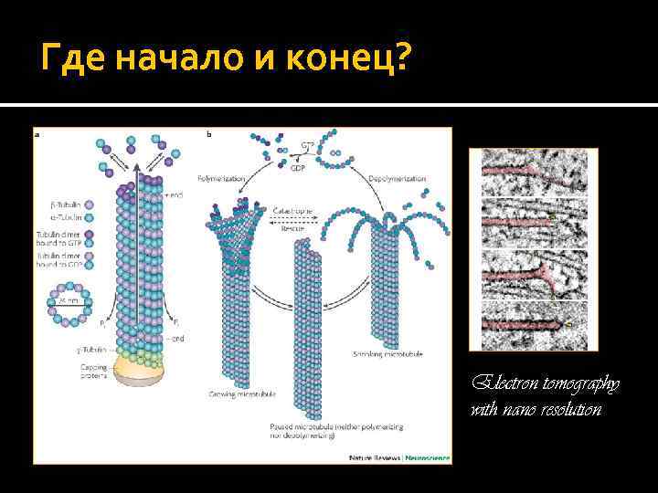 Где начало и конец? Electron tomography with nano resolution 