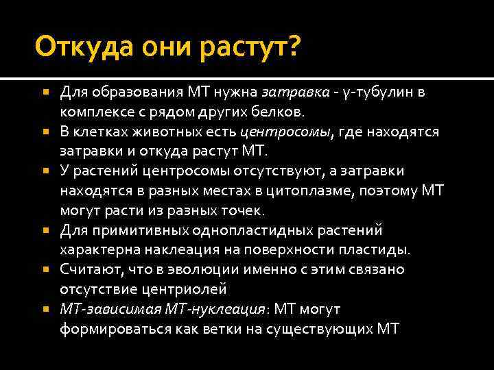 Откуда они растут? Для образования МТ нужна затравка - γ-тубулин в комплексе с рядом
