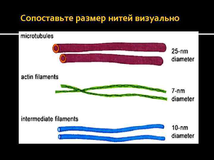 Сопоставьте размер нитей визуально 