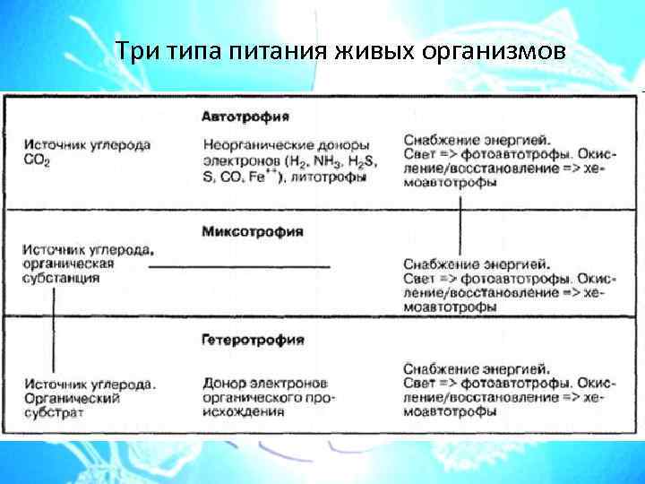 4 типа питания