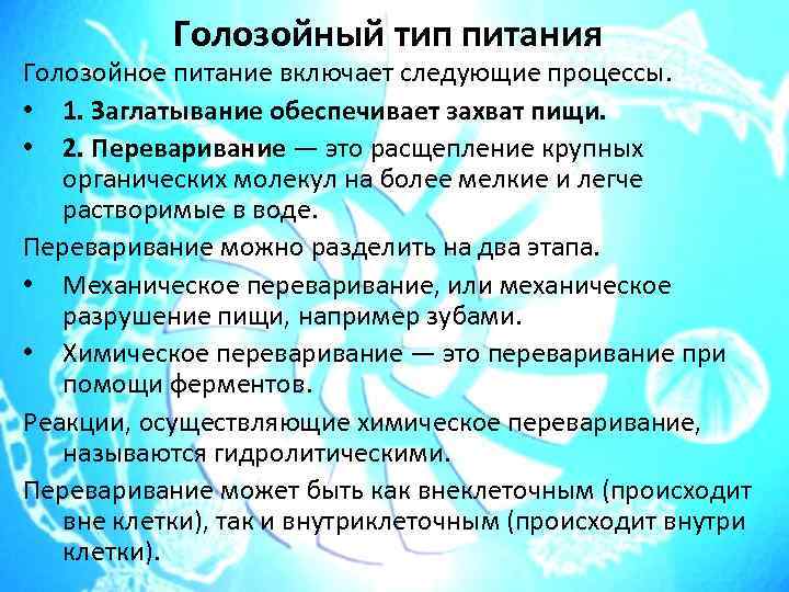 Голозойный тип питания Голозойное питание включает следующие процессы. • 1. Заглатывание обеспечивает захват пищи.