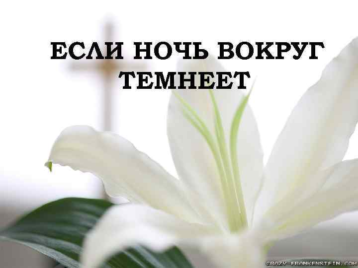 ЕСЛИ НОЧЬ ВОКРУГ ТЕМНЕЕТ 