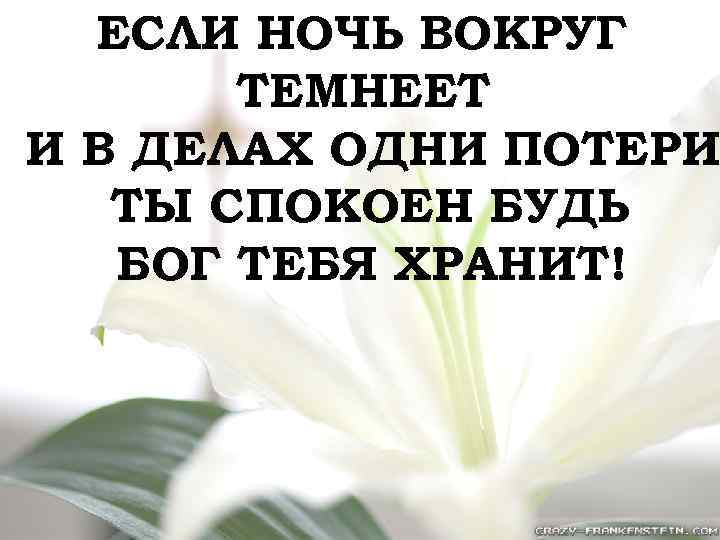 ЕСЛИ НОЧЬ ВОКРУГ ТЕМНЕЕТ И В ДЕЛАХ ОДНИ ПОТЕРИ ТЫ СПОКОЕН БУДЬ БОГ ТЕБЯ