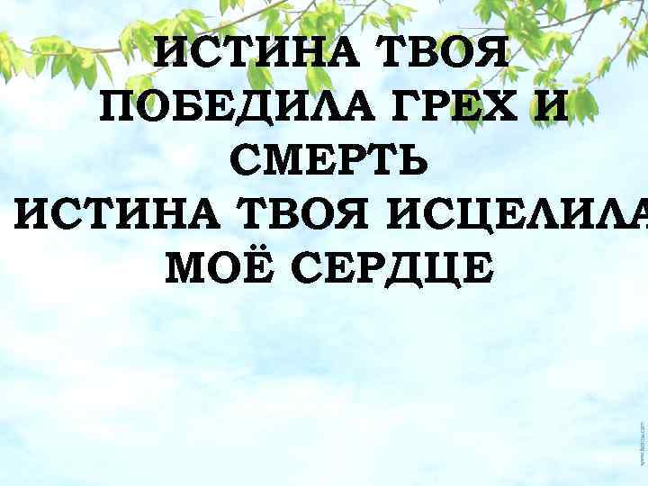ИСТИНА ТВОЯ ПОБЕДИЛА ГРЕХ И СМЕРТЬ ИСТИНА ТВОЯ ИСЦЕЛИЛА МОЁ СЕРДЦЕ 