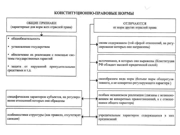 Конституционное право как ведущая отрасль российского права план