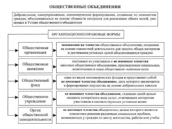 Составьте дома схему под названием основные принципы конституционного строя российской федерации