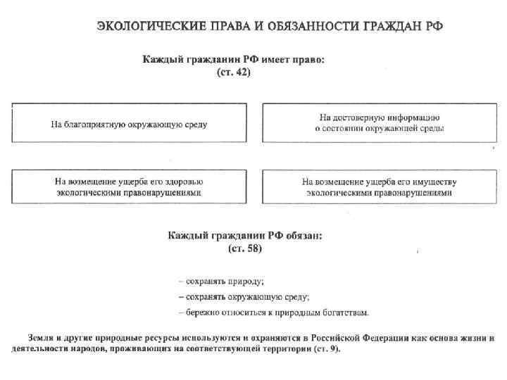 План экологические права и обязанности гражданина рф