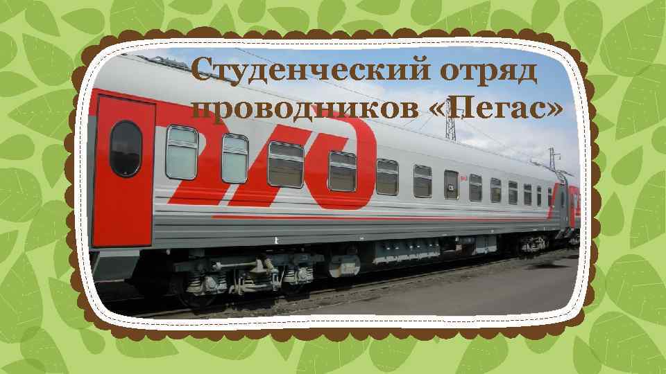 Студенческий отряд проводников «Пегас» 