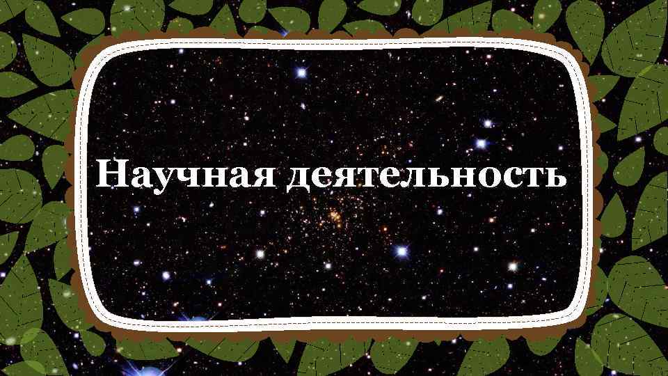 Научная деятельность 