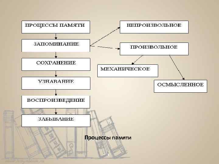 Процессы памяти 