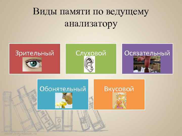 Память бывает. Виды памяти по анализатору. Виды памяти по ведущему анализатору. Типы памяти слуховая Зрительная. Виды памяти картинки.