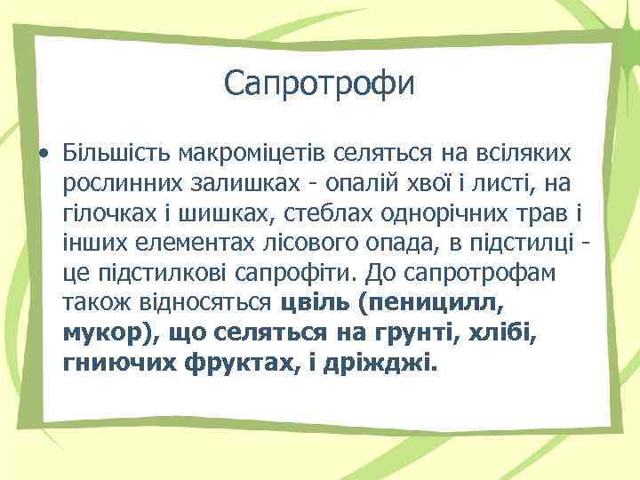 Сапротрофи • Більшість макроміцетів селяться на всіляких рослинних залишках - опалій хвої і листі,