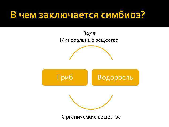 В чем заключается симбиоз? Вода Минеральные вещества Гриб Водоросль Органические вещества 