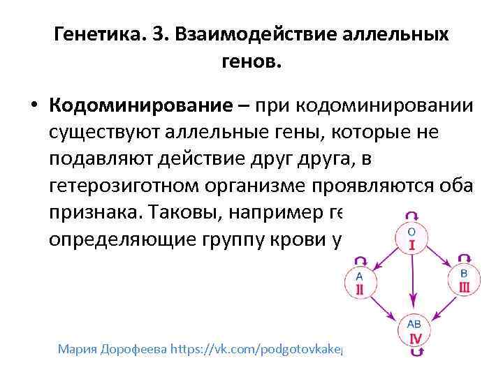 Друзья гены. Взаимодействие аллельных генов кодоминирование. Пример кодоминирования аллельных генов. Кодоминирование генетика. Аллельные гены кодоминирование.