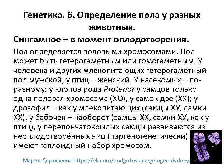 Генетика. 6. Определение пола у разных животных. Сингамное – в момент оплодотворения. Пол определяется