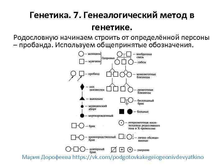 Генетика. 7. Генеалогический метод в генетике. Родословную начинаем строить от определённой персоны – пробанда.