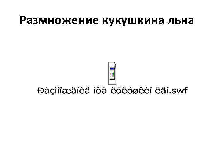 Размножение кукушкина льна 