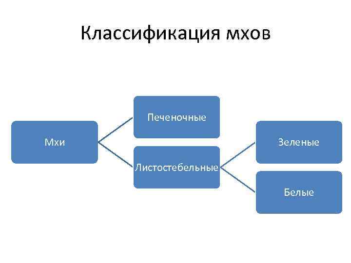 Классификация мхов Печеночные Мхи Зеленые Листостебельные Белые 