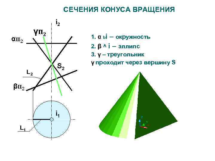 СЕЧЕНИЯ КОНУСА ВРАЩЕНИЯ γп 2 αп 2 L 2 i 2 1. α bi