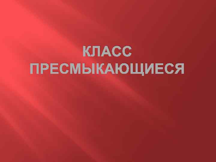 КЛАСС ПРЕСМЫКАЮЩИЕСЯ 