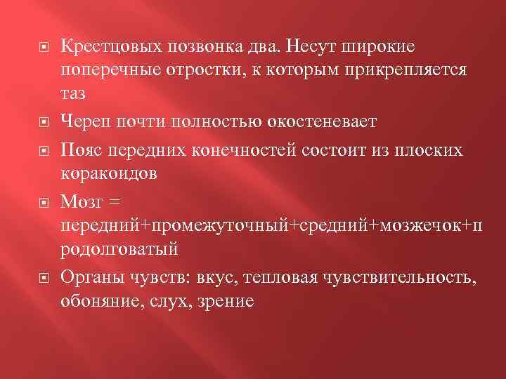  Крестцовых позвонка два. Несут широкие поперечные отростки, к которым прикрепляется таз Череп почти