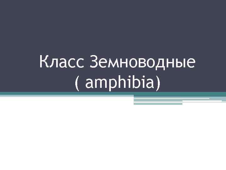 Класс Земноводные ( amphibia) 