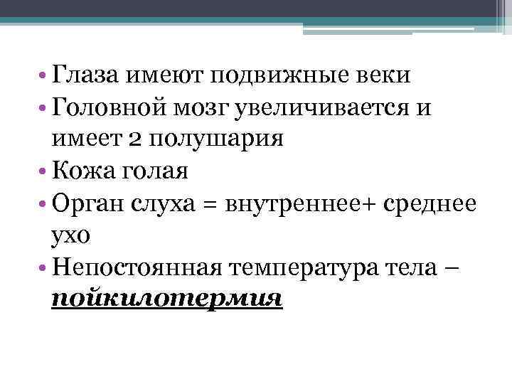  • Глаза имеют подвижные веки • Головной мозг увеличивается и имеет 2 полушария