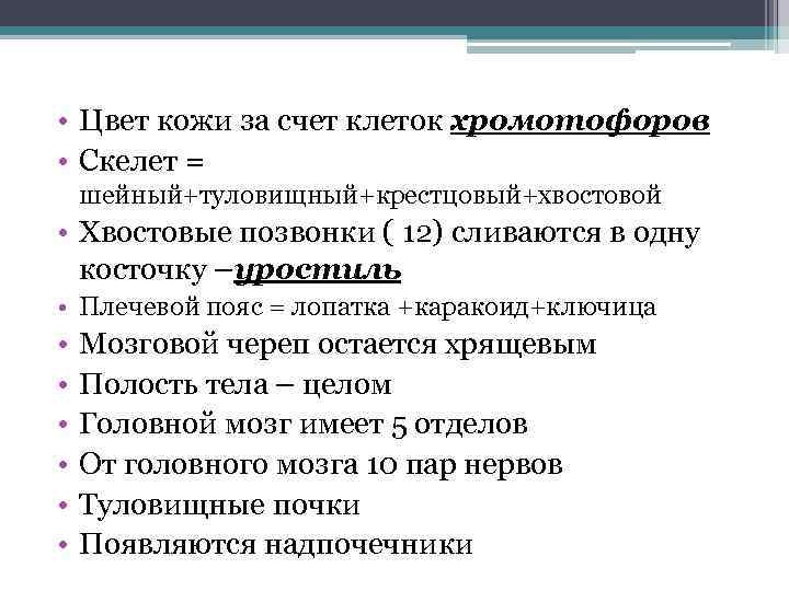  • Цвет кожи за счет клеток хромотофоров • Скелет = шейный+туловищный+крестцовый+хвостовой • Хвостовые