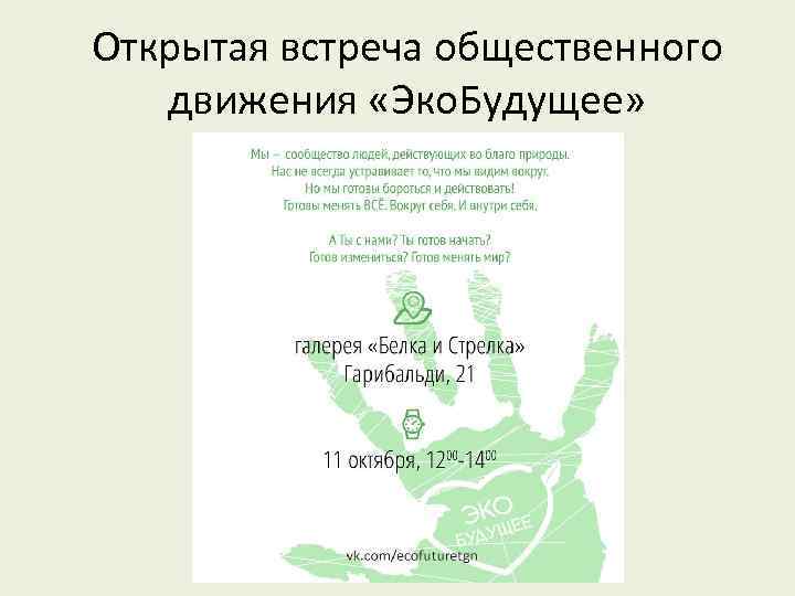 Открытая встреча общественного движения «Эко. Будущее» 