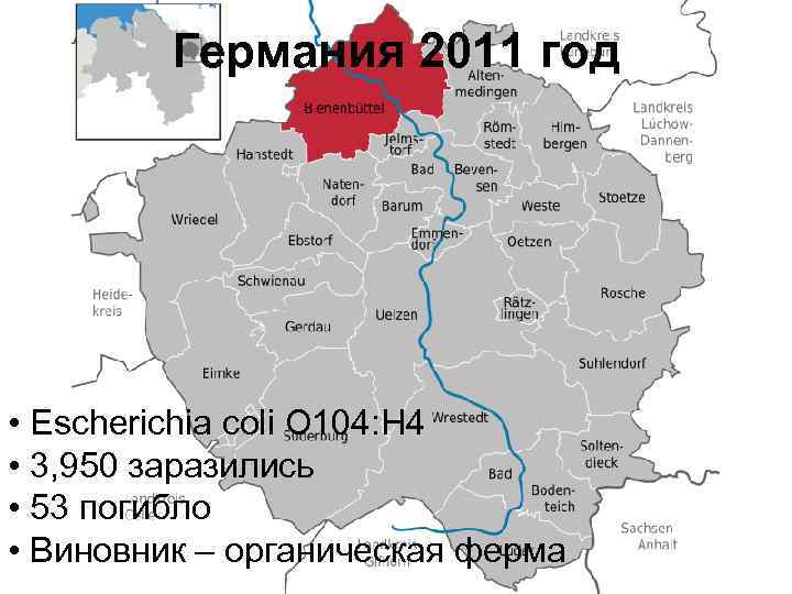 Германия 2011 год • Escherichia coli O 104: H 4 • 3, 950 заразились