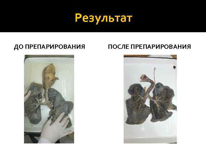 Результат ДО ПРЕПАРИРОВАНИЯ ПОСЛЕ ПРЕПАРИРОВАНИЯ 