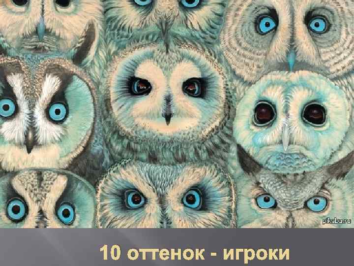 10 оттенок - игроки 