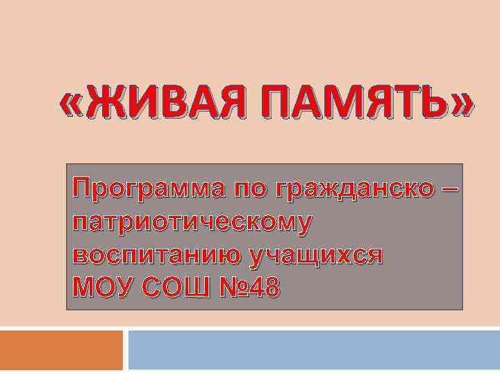  «ЖИВАЯ ПАМЯТЬ» Программа по гражданско – патриотическому воспитанию учащихся МОУ СОШ № 48